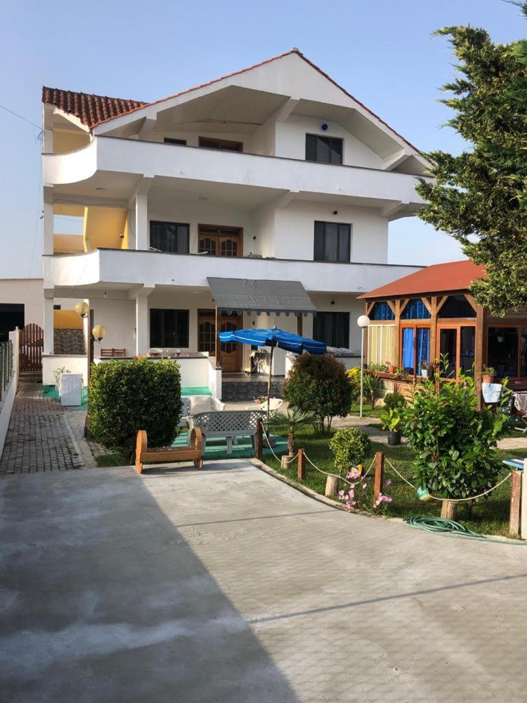 Timi Golem (Tirana)